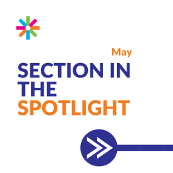 section in the spotlight logo